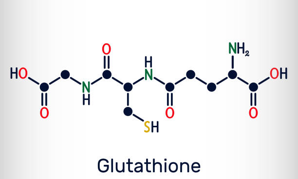 What Is Glutathione