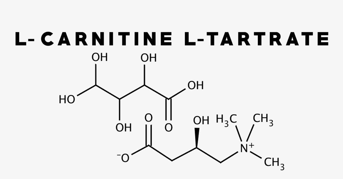 Carnitine MTX Infinite Labs