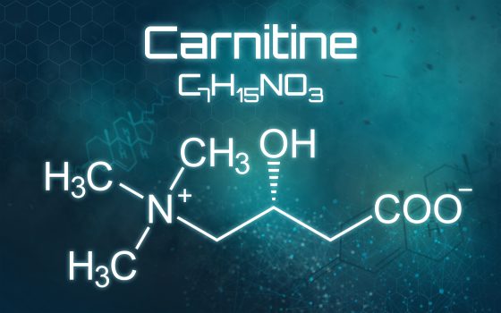 Carnitine MTX Infinite Labs 