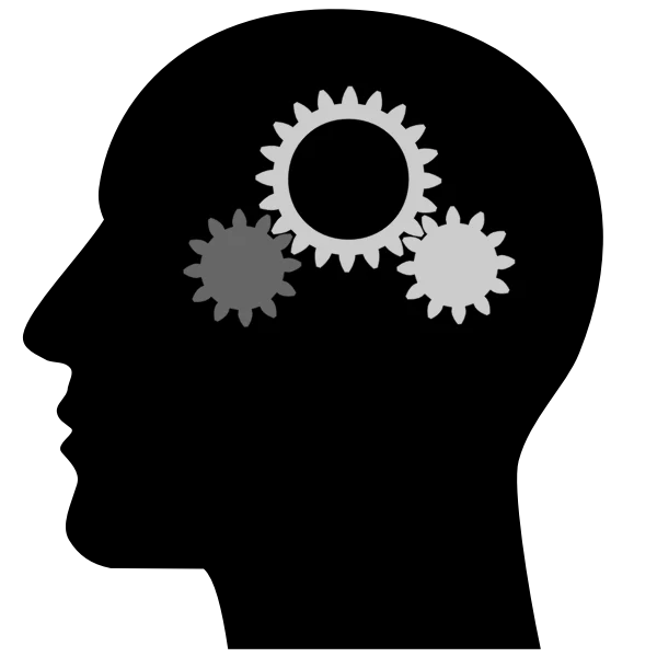 cognative_function_e481d515-4ef2-4525-be8c-cf21941623e4