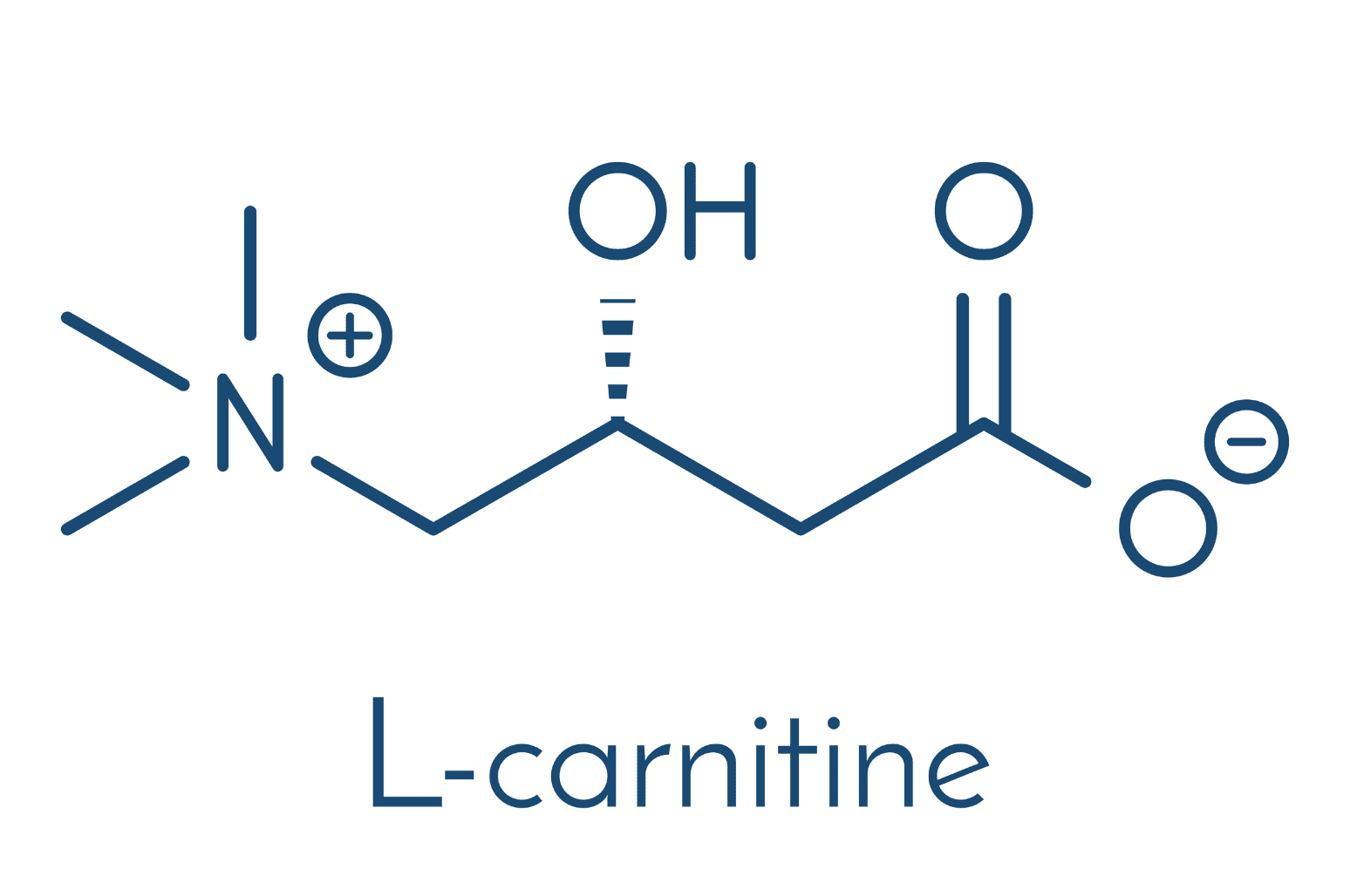 Carnitine MTX 