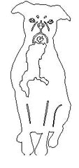 Outline sketch of dog