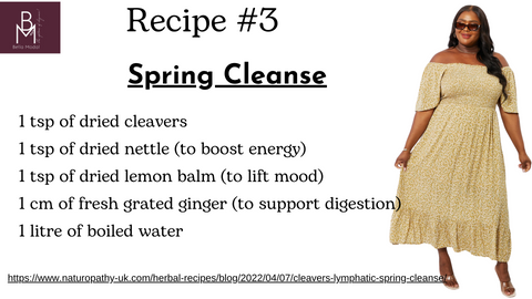 How to refresh with food not just fashion this spring time with bella modal online store for plus size women. Picture giving a healthy, easy and quick sring cleanse recipe using cleavers (gallium aparine). This recipe which is called Spring Cleanse was taking from CNM (college of naturopathic nutrition) and can be used as your transition into spring 2024 to boost your overall health.  Picture also showing a beautiful Floral Square Neck Smocked Midi Dress. Highlighting the lightness you will feel after the cleanse.