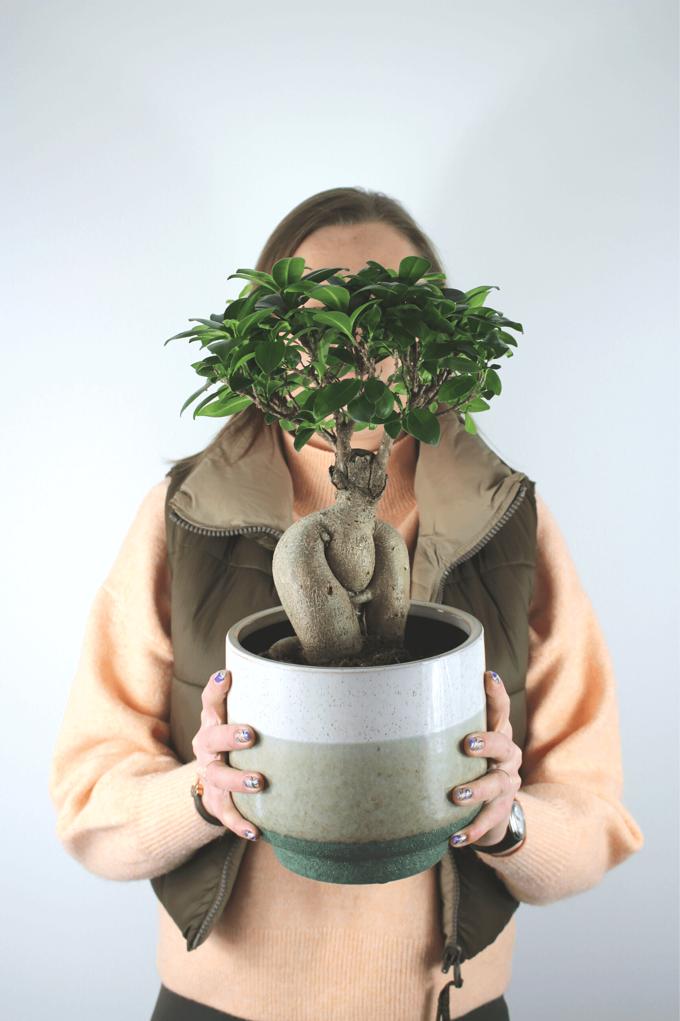 Plante Verte - Bonsai