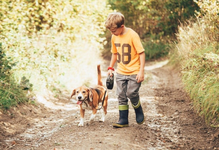 socialising dogs and children