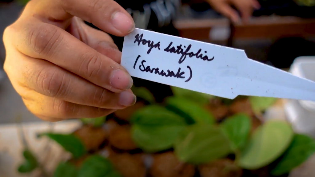 Labeling and Watering