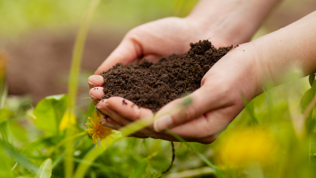 hands holding compost