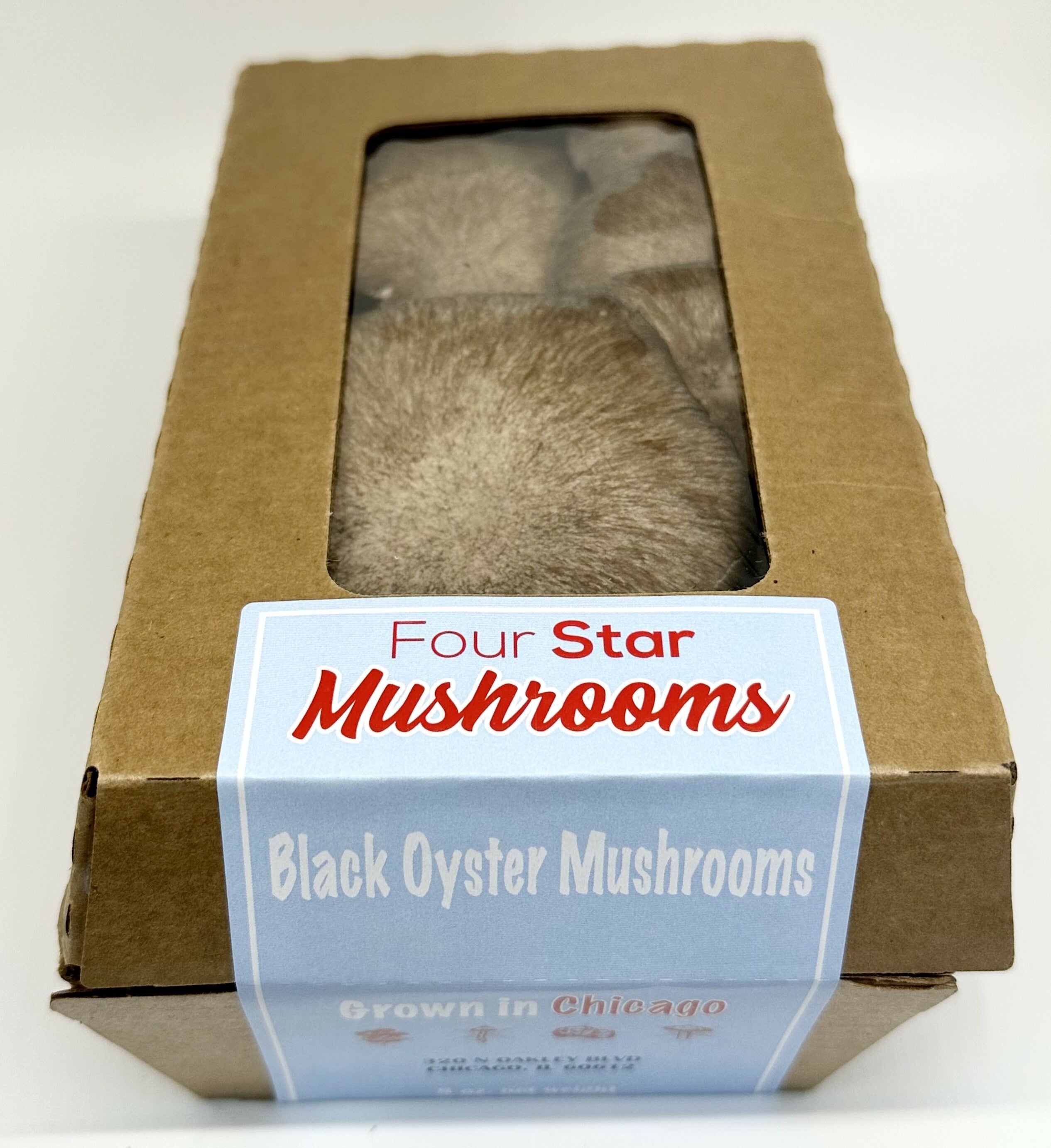 Black Oyster Mushroom