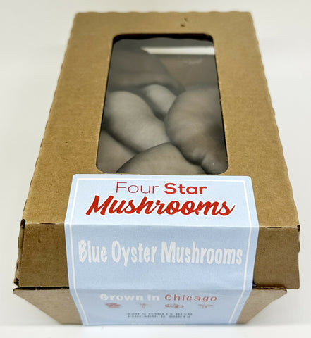Four Star Mushrooms blue oyster retail clamshell package