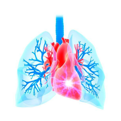 Colchicine for pericarditis