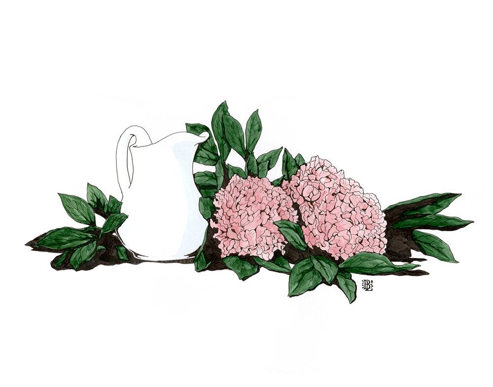 Pitcher and Peonies by Becky Litton