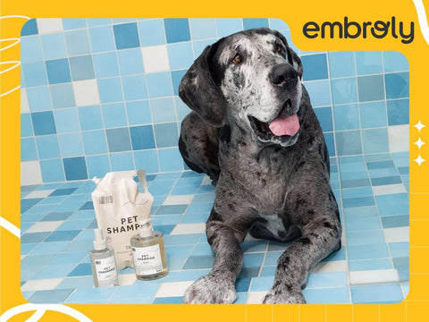 Pet shampoo Dedcool