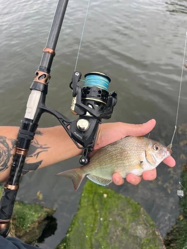 fishing rod and reel