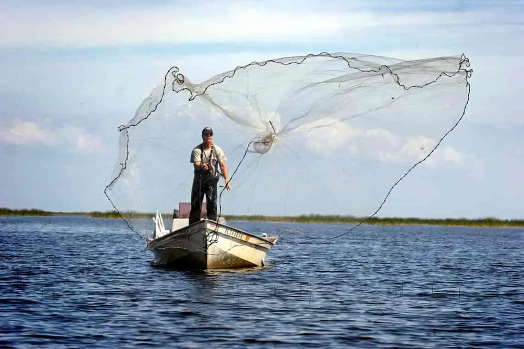 Cast Net Fishing Tricks and Techniques – Plusinno
