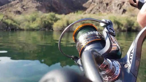 fishing reel