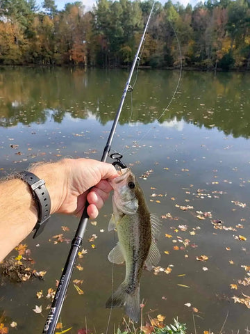 Cómo elegir la caña de pescar adecuada: Spinning vs. Baitcasting – Plusinno