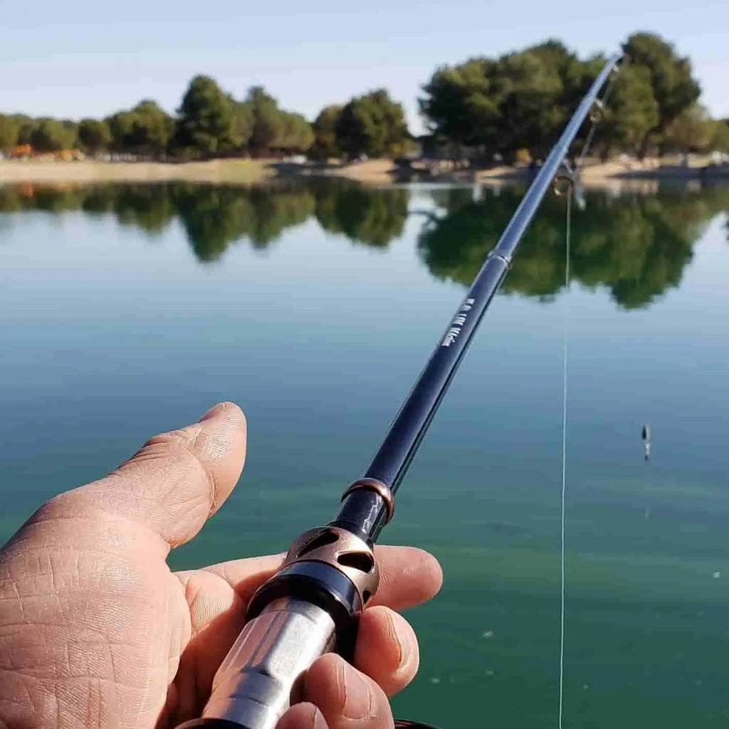 12 Best Telescopic Fishing Rods [2024] (PRO Buying Guide)
