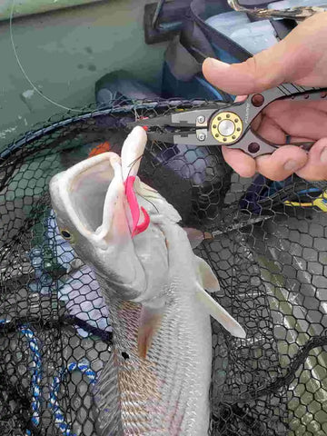 What are Fishing Pliers and Why Do I Need Them? – Plusinno