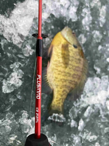 Ice fishing