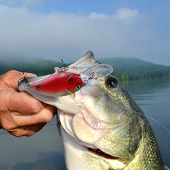 Plusinno Fishing Lures