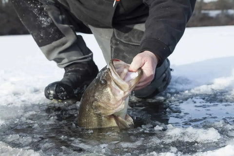 ice fishing