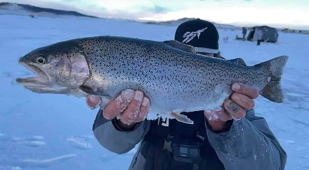 ice fishing life