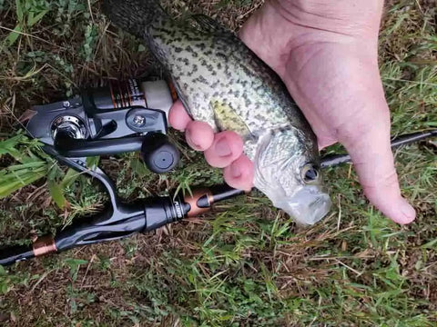Crappie Fishing Rods, Reels and Combos