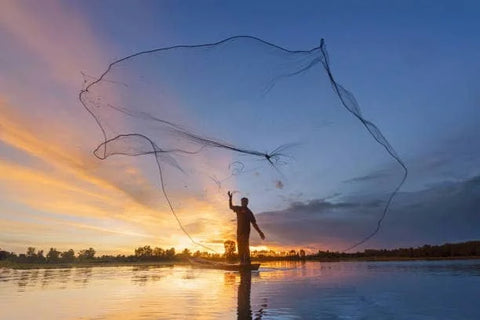 Cast Nets: Everything You Need to Know – Plusinno