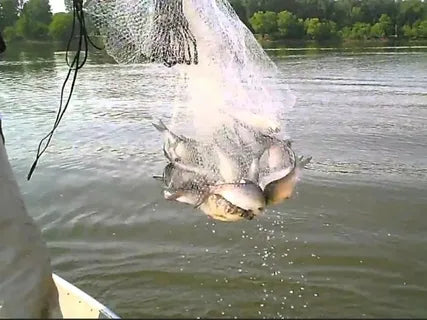 cast netting fish