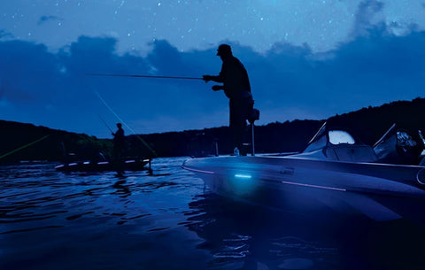 fishing at night