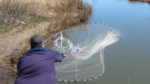 catch fish with cast net