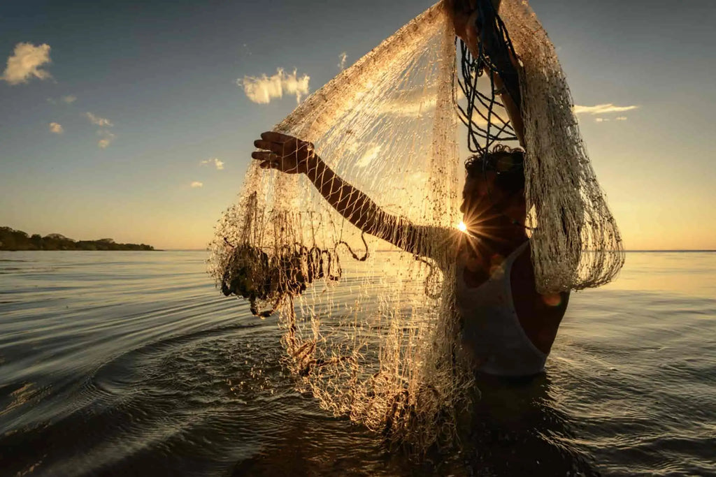 cast netting
