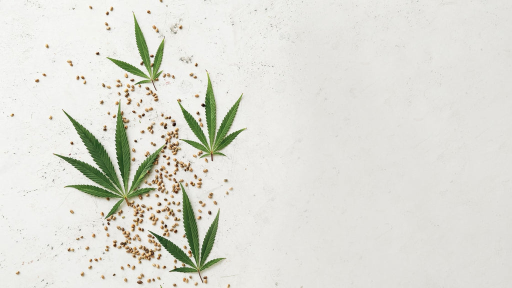 What is THC-X?