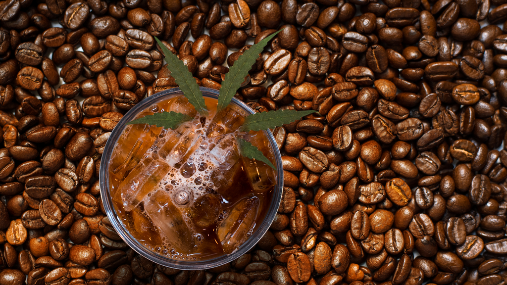 Understanding Caffeine and THC