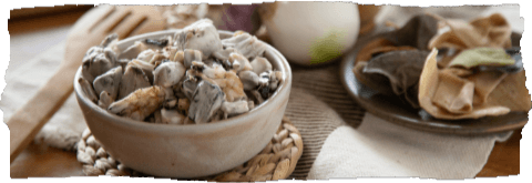 Huitlacoche_Cuitlacoche_Vorbereitung_Rezepte_Blogartikel_MexicoMiAmor