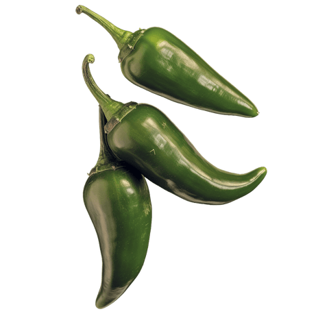 Jalapeno Chili Abbildung