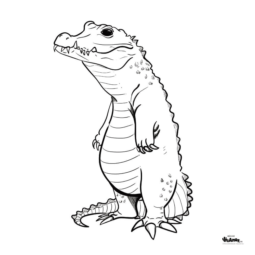 Dibujo para colorear Cocodrilo/ Krokodil/ Crocodile – MexicoMiAmor