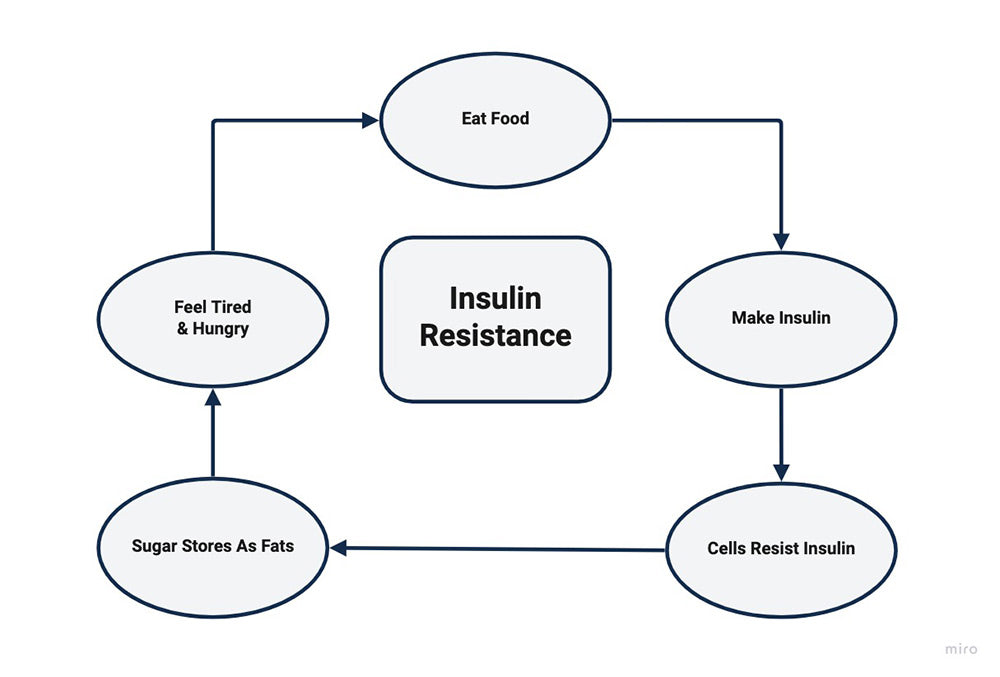 Insulin Resistance 