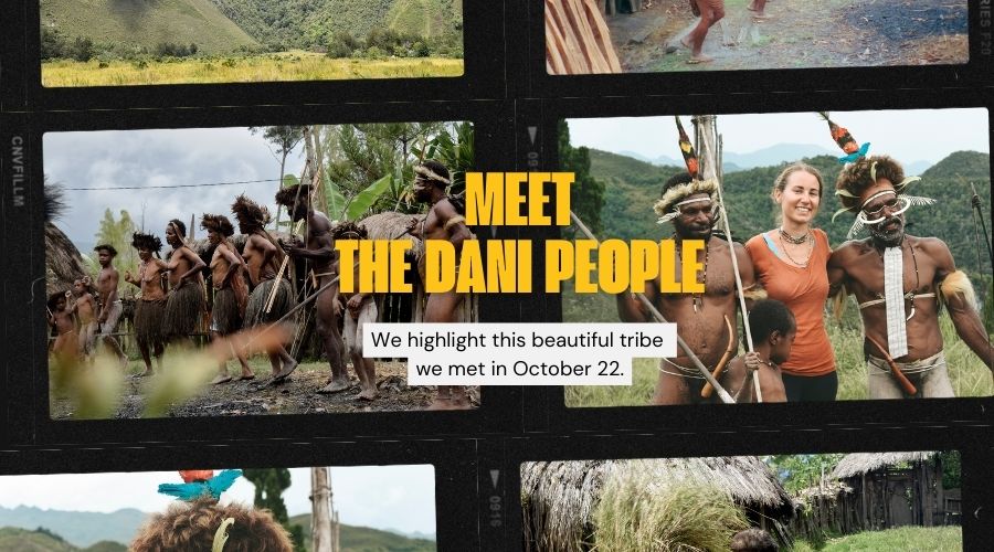 meet the dani tribe