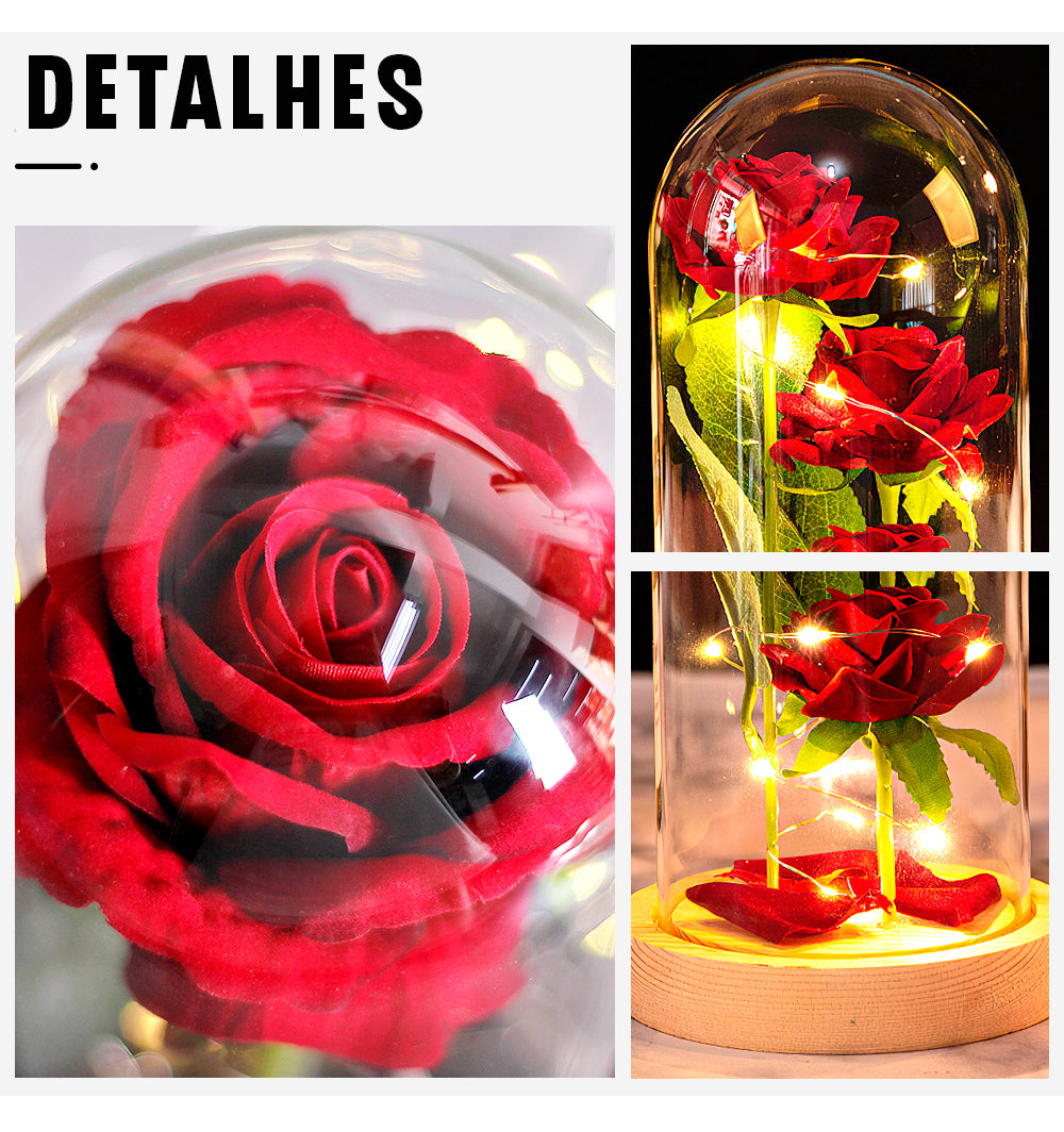 Rosa Eterna Cúpula de Vidro – Baloons
