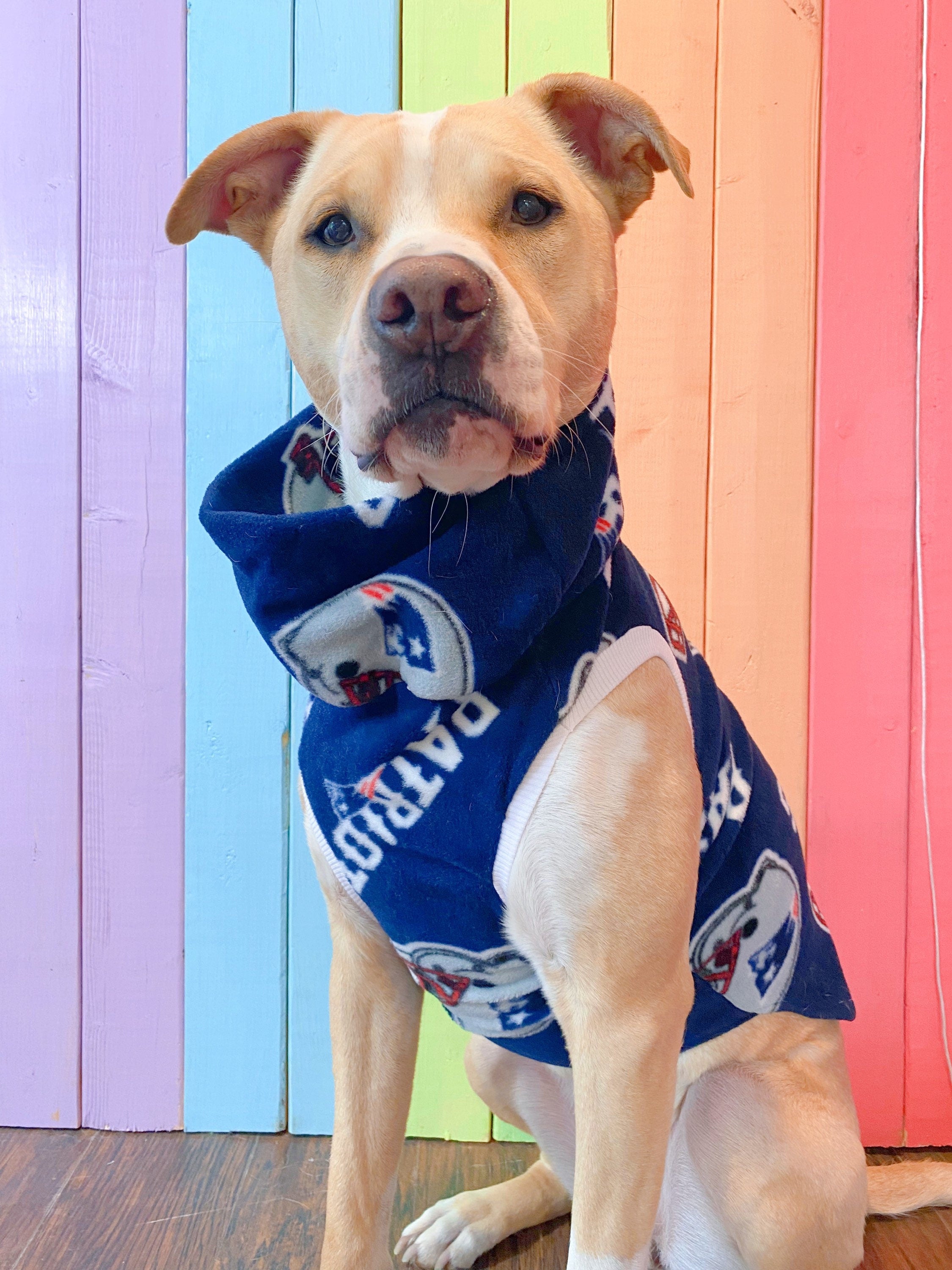 New England Patriots Dog Jersey