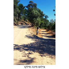 שבילי רון יער עופר מרכז מיר"ב