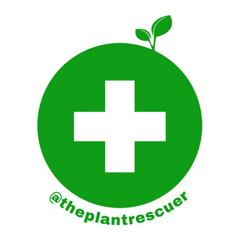 Plant Rescue Box - Urban Tropicana