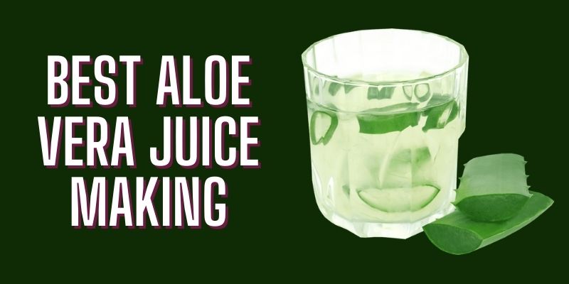 Best Aloe Vera Juice Making - Nirogayurved