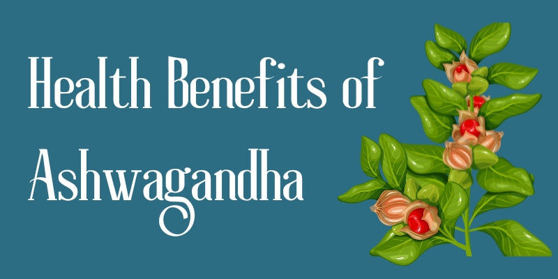 Health Benefits of Ashwagandha - Nirogayurved