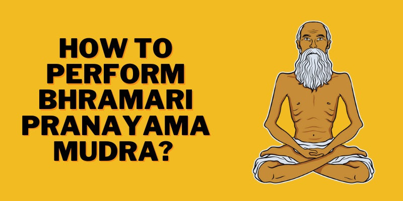 How to perform bhramari pranayama mudra-Nirogayurved