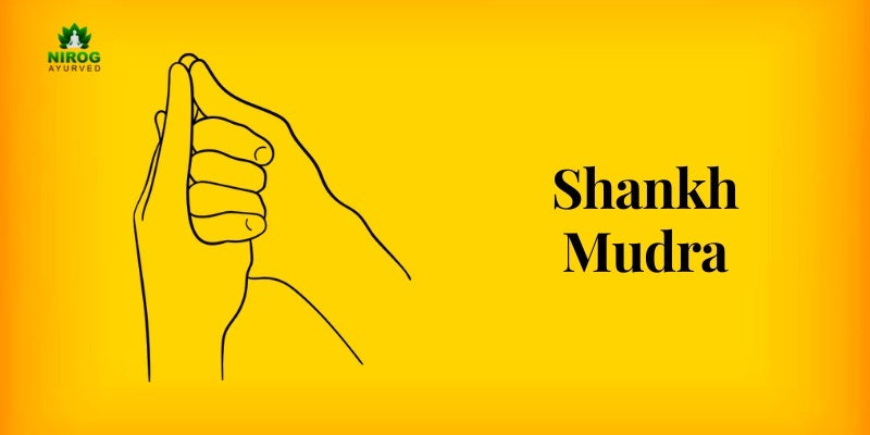 Shankh Mudra - Nirogayurved