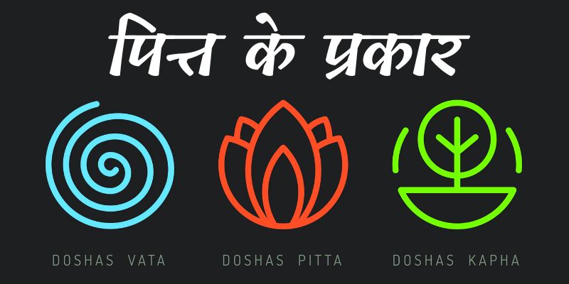 Types of Pitta Doshas In Hindi - Nirogayurved