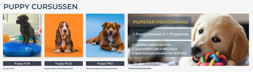 Puppy Cursussen