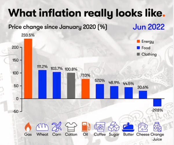 Price change in commodities and consumer goods in the U.S. (Source: Interactive Investor)